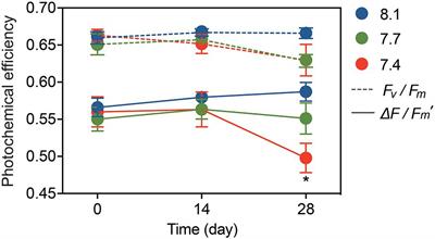 Effects of Ocean Acidification on Carbon and Nitrogen Fixation in the Hermatypic Coral Galaxea fascicularis